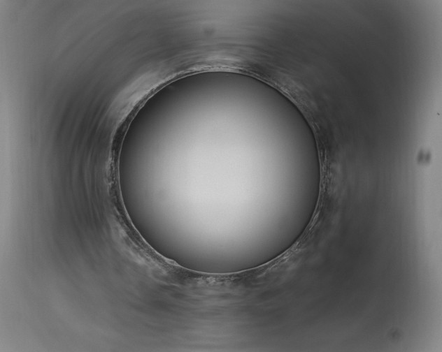 X0000114170338200910081527