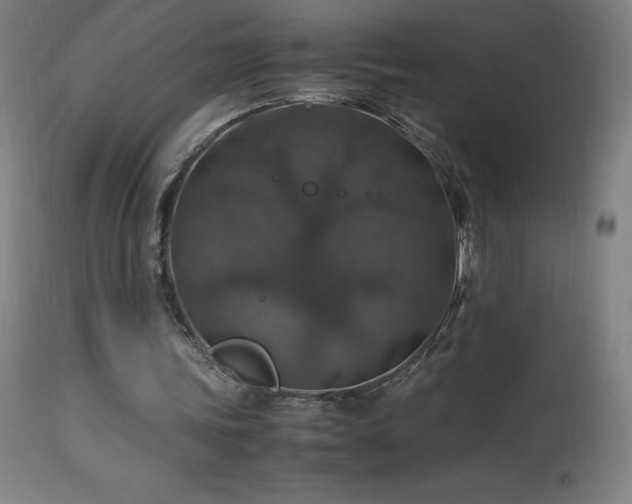 X0000114170339200910081527
