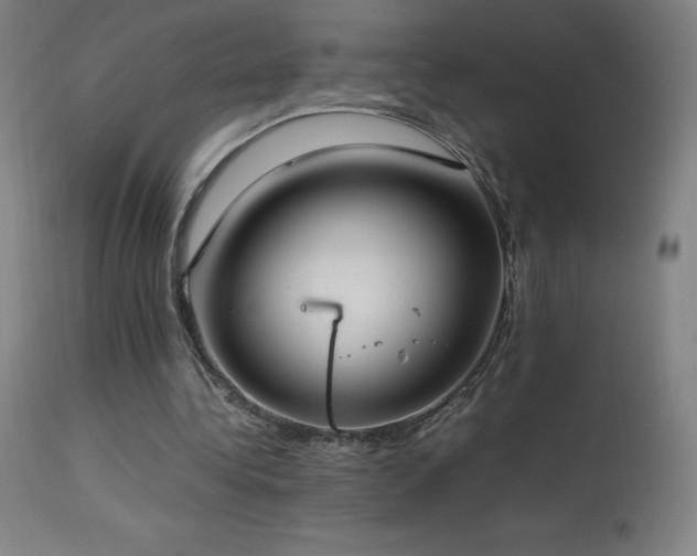 X0000114170340200910081527