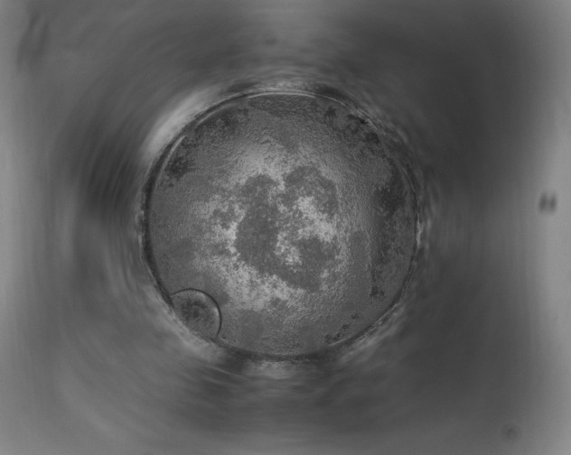 X0000114170341200910081527