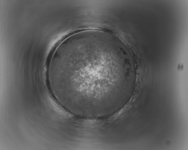 X0000114170342200910081527