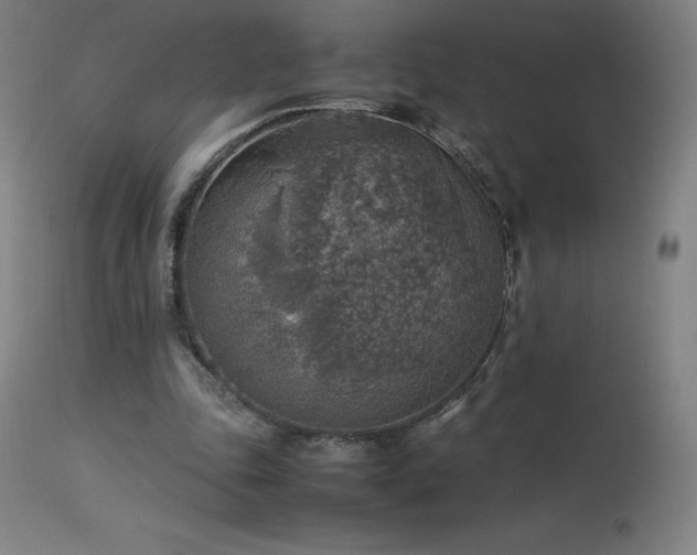 X0000114170343200910081527
