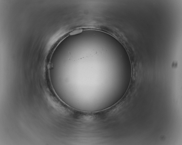 X0000114170344200910081527