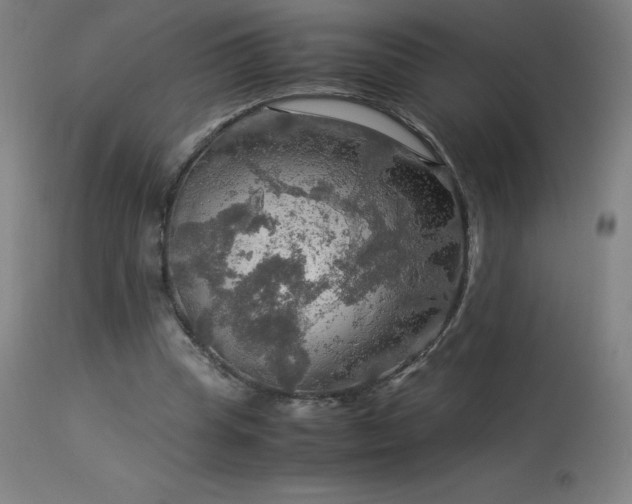 X0000114170345200910081528
