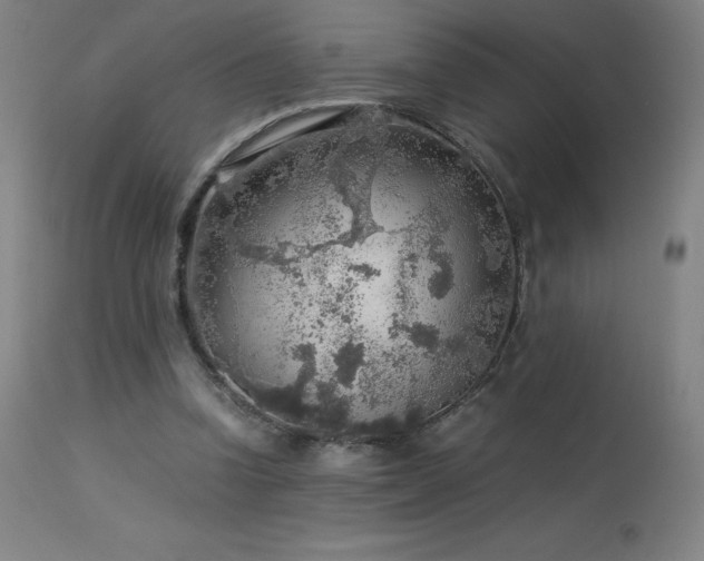 X0000114170346200910081528