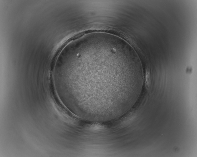 X0000114170348200910081528