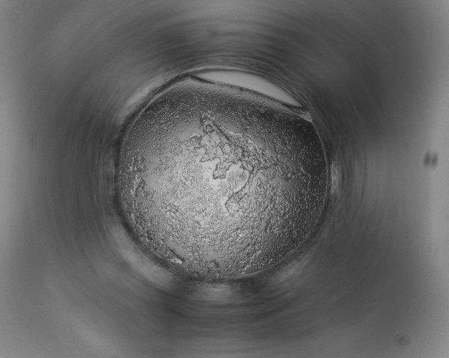 X0000114170349200910081528