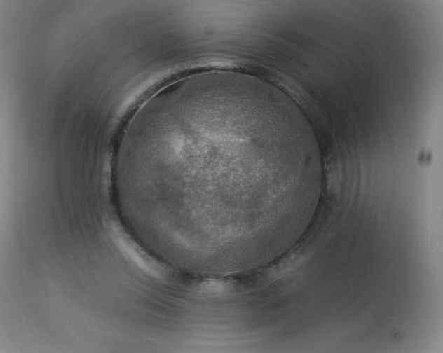 X0000114170350200910081528