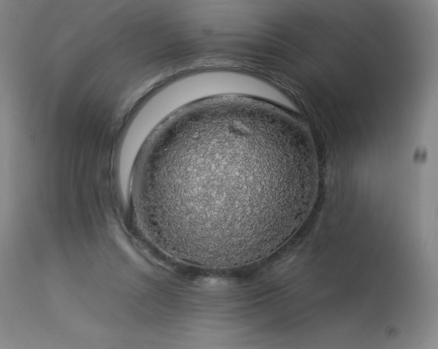 X0000114170352200910081528