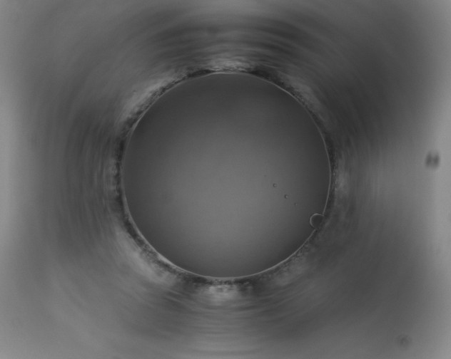 X0000114170353200910081528