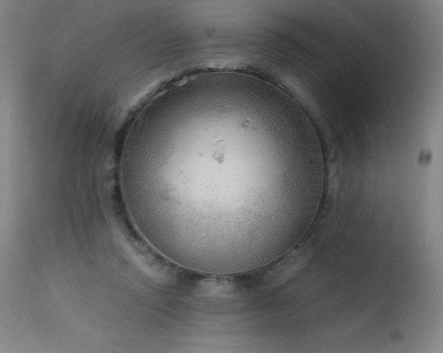 X0000114170354200910081528