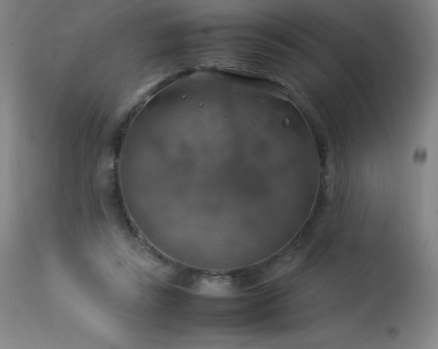 X0000114170355200910081528