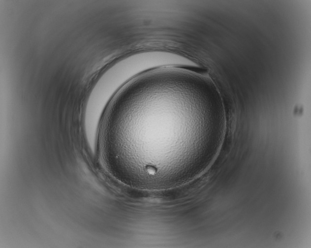 X0000114170356200910081528