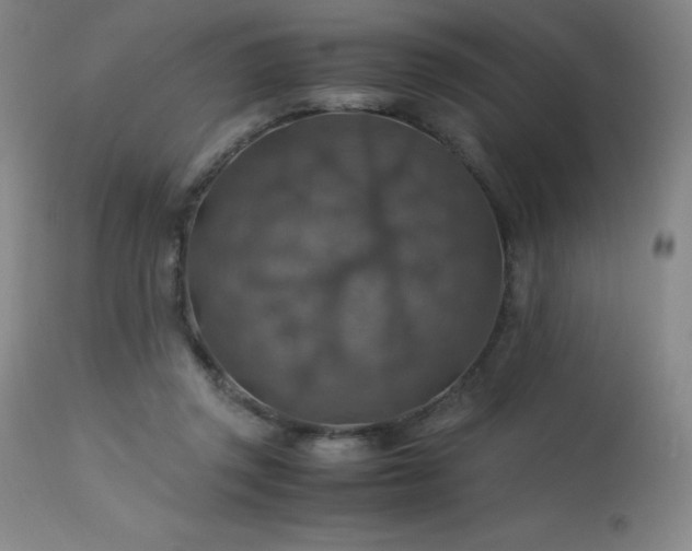 X0000114170357200910081528