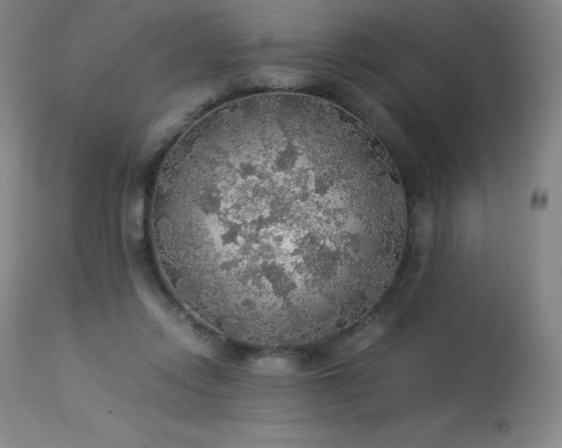 X0000114170358200910081528