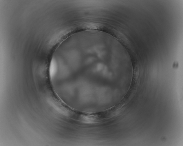 X0000114170359200910081528