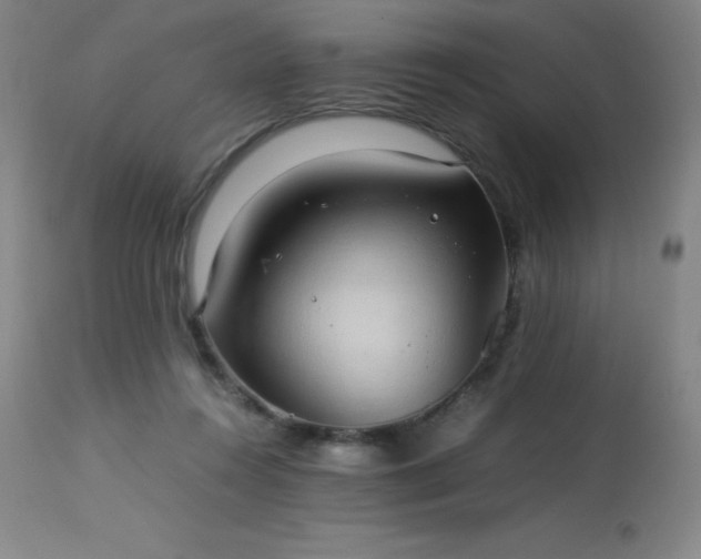 X0000114170360200910081528