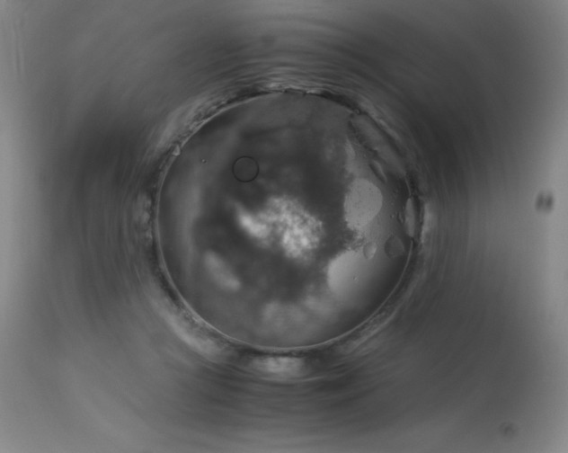 X0000114170361200910081528