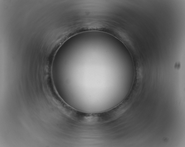 X0000114170362200910081528