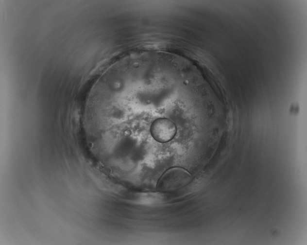 X0000114170363200910081528