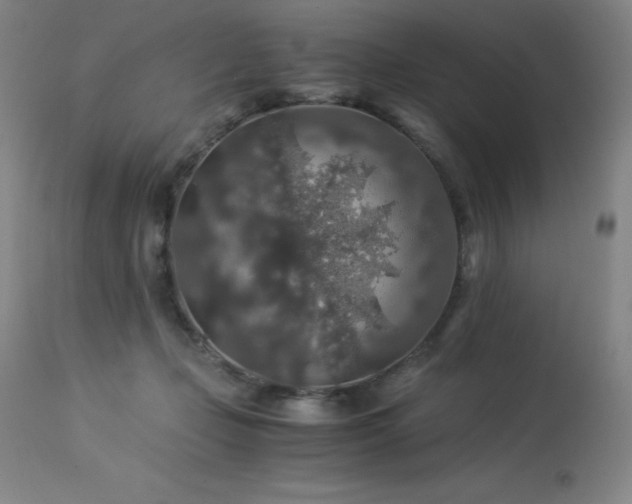 X0000114170365200910081528