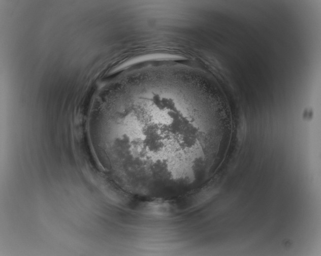 X0000114170366200910081528