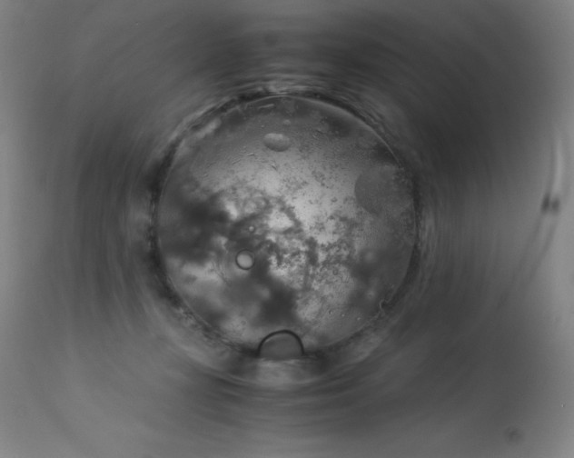 X0000114170367200910081528