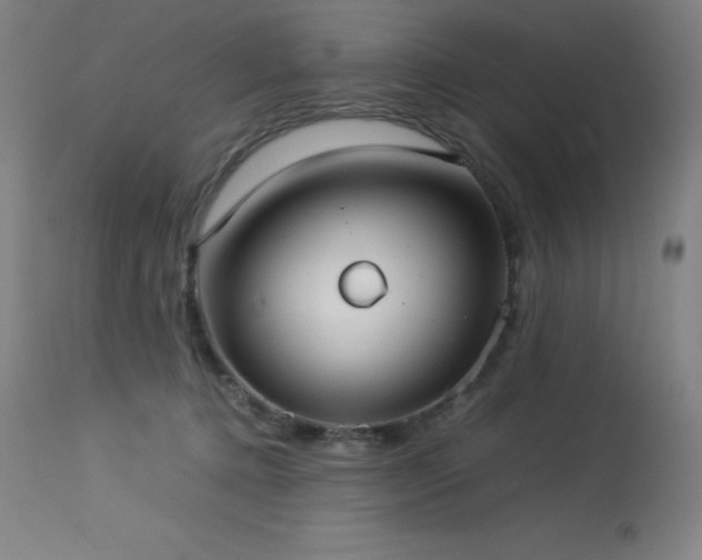 X0000114170368200910081528