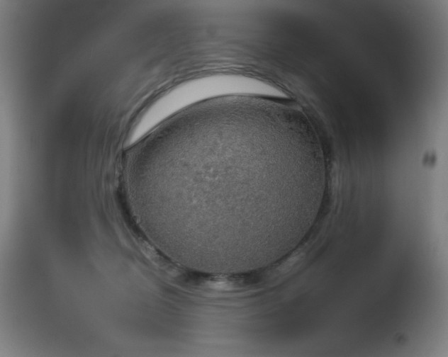 X0000114170370200910081528