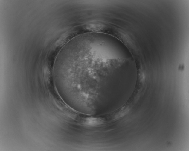X0000114170371200910081528