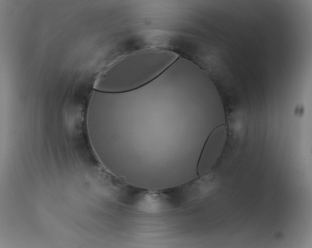 X0000114170372200910081528