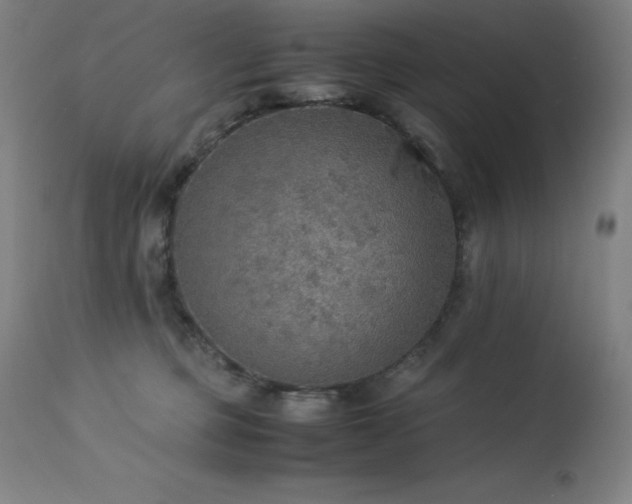 X0000114170373200910081528