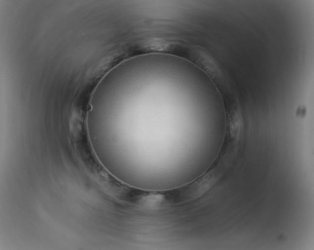 X0000114170374200910081528