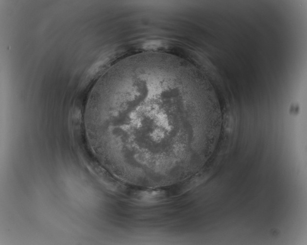 X0000114170375200910081528