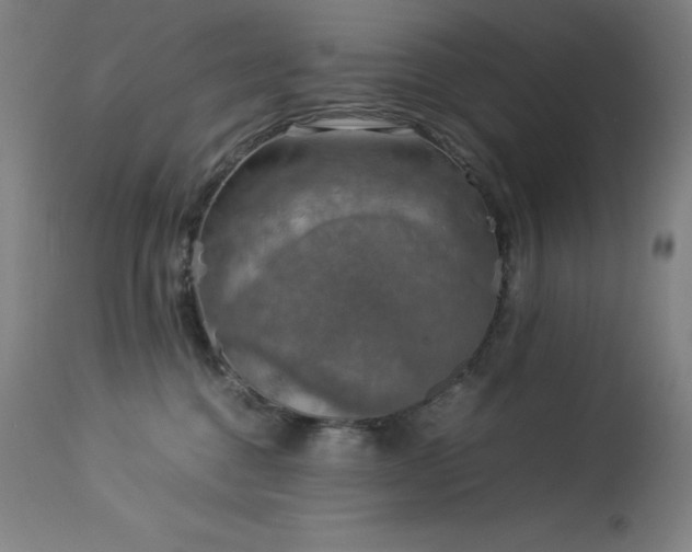 X0000114170376200910081528