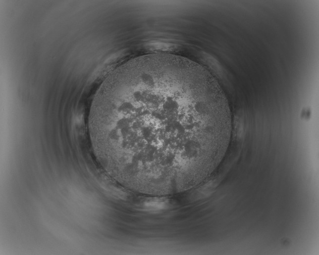 X0000114170377200910081528