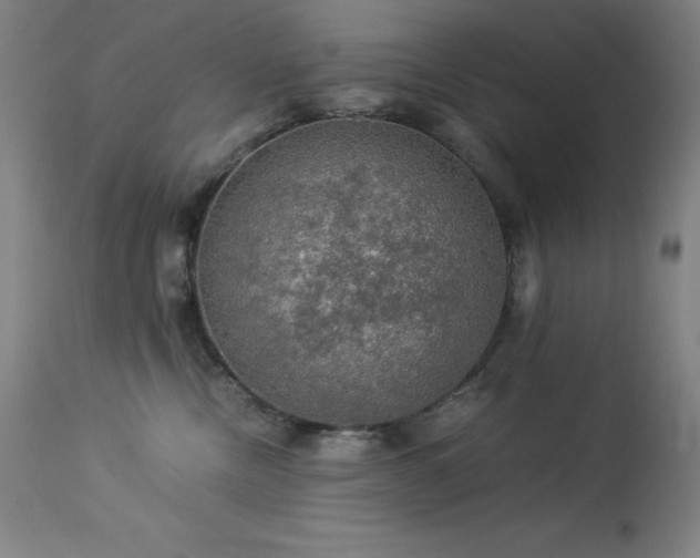 X0000114170378200910081528
