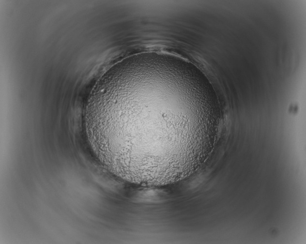 X0000114170379200910081528