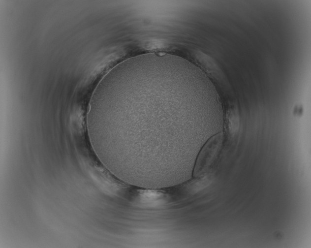 X0000114170380200910081528