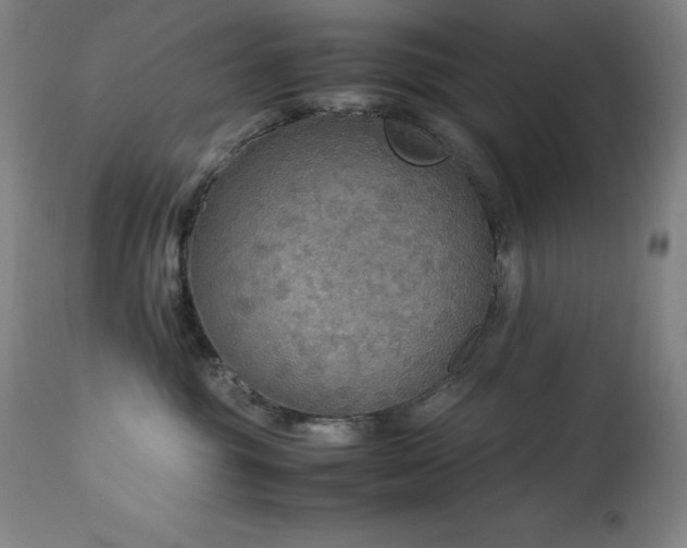 X0000114170381200910081528