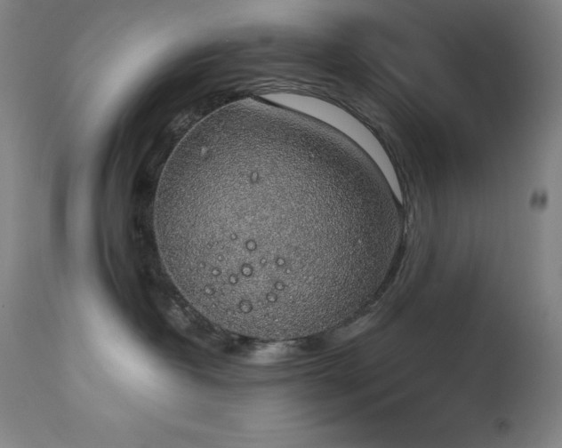 X0000114170382200910081528