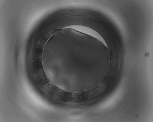 X0000114170383200910081528