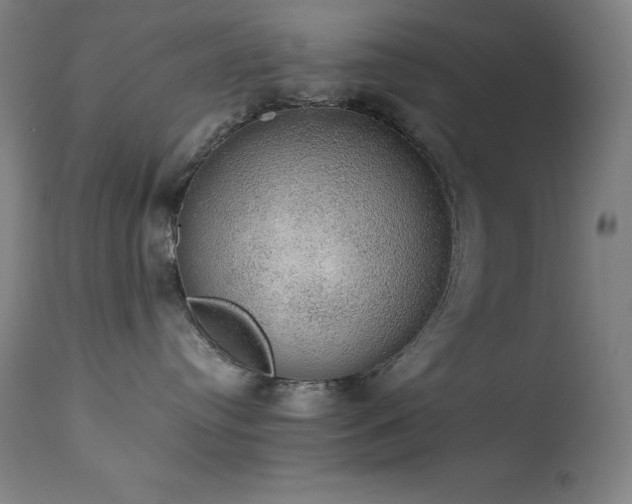 X0000114170384200910081528