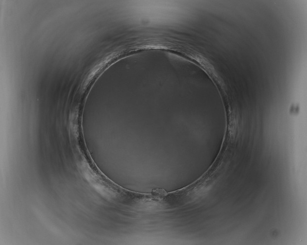 X0000114170386200910081527