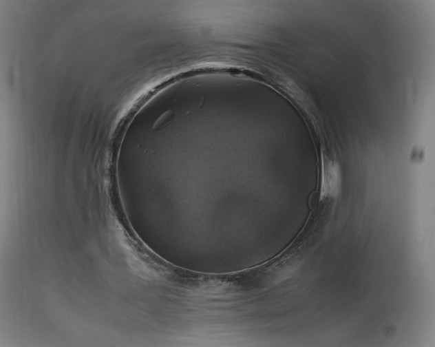 X0000114170387200910081527