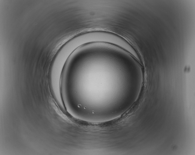 X0000114170389200910081527