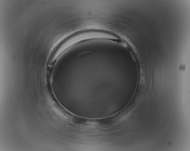X0000114170391200910081527