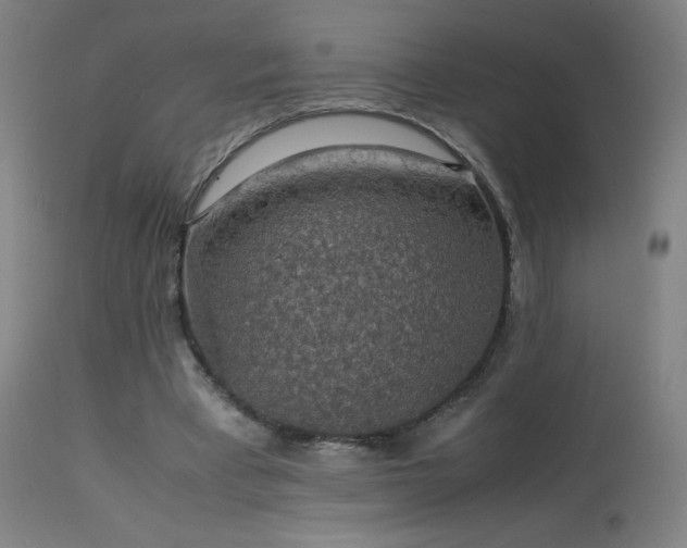 X0000114170393200910081527