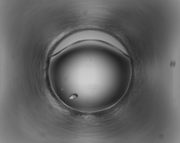 X0000114170395200910081527