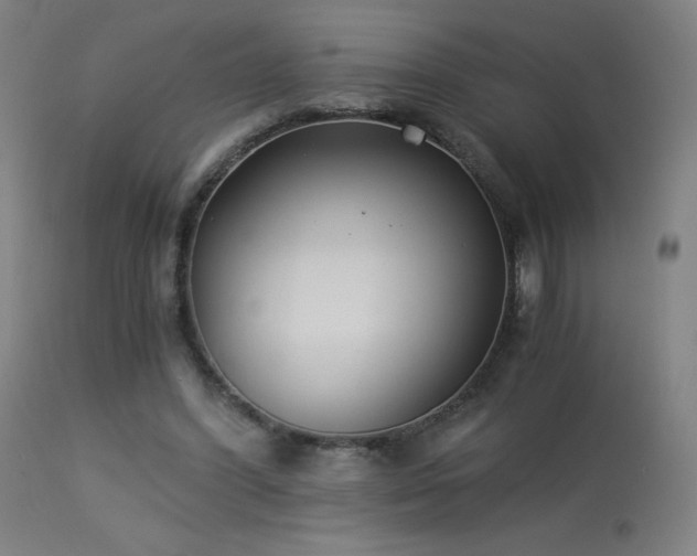 X0000114170396200910081527